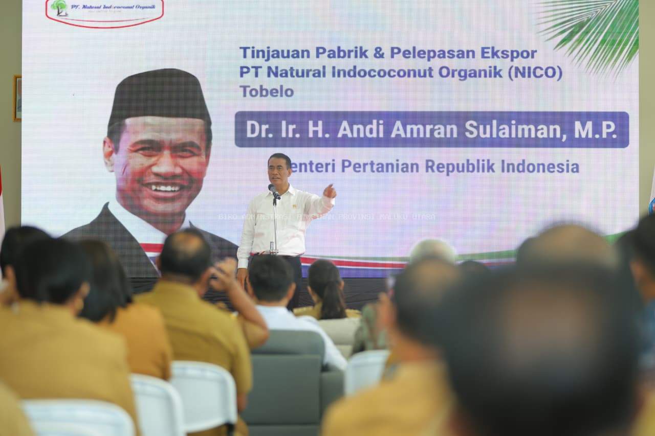 Kelapa Maluku Utara Tembus Tiongkok, Hilirisasi Dongkrak Ekonomi Petani