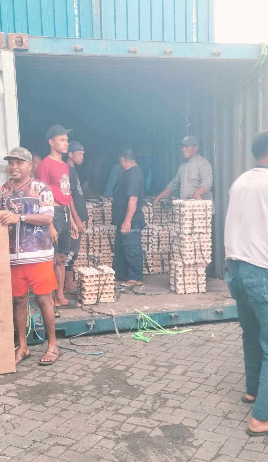 10 Kontainer Telur Tiba, Gubernur Sherly Arahkan Pemantauan Intensif Stok Jelang Lebaran