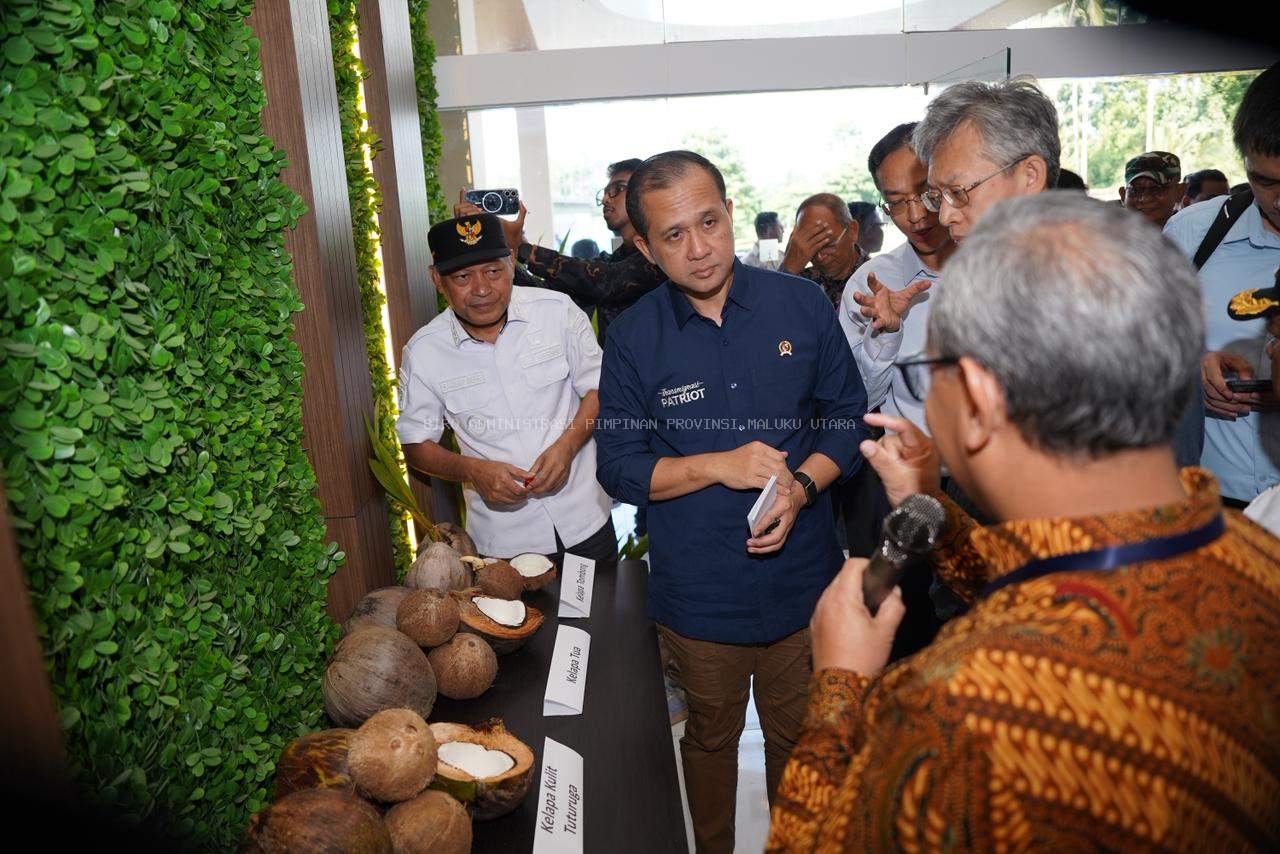 Menteri Transmigrasi Puji Komoditas Kelapa Malut: Jadikan Pusat Industrialisasi Nasional
