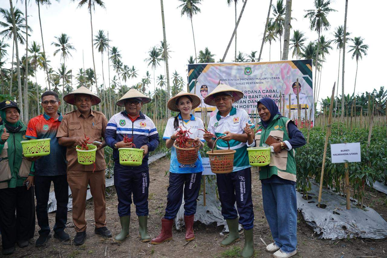 Jaya dan Sejahtera! Kelompok Tani Terima Bantuan Puluhan Alsintan dari Gubernur